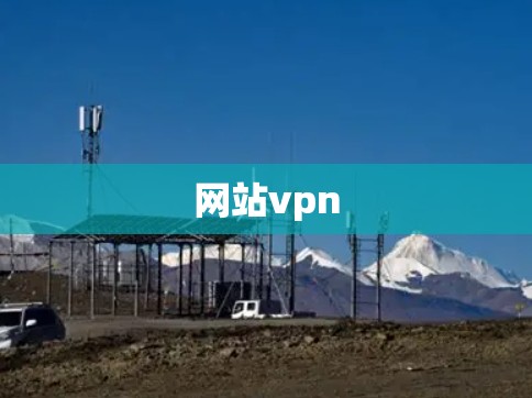 网站vpn