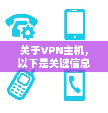 关于VPN主机，以下是关键信息的分步解释